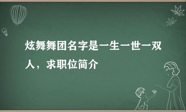 炫舞舞团名字是一生一世一双人，求职位简介