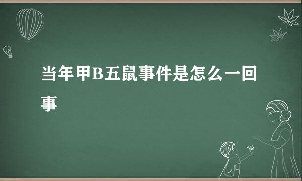 当年甲B五鼠事件是怎么一回事