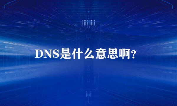 DNS是什么意思啊？