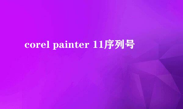 corel painter 11序列号