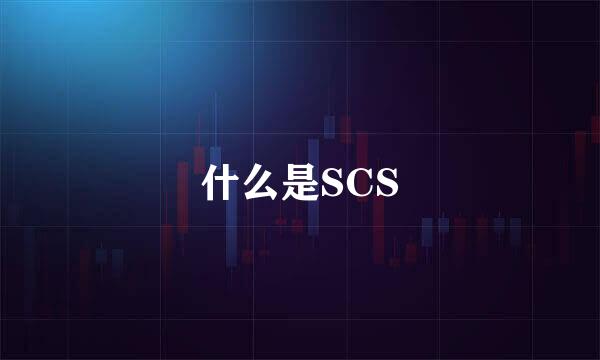 什么是SCS