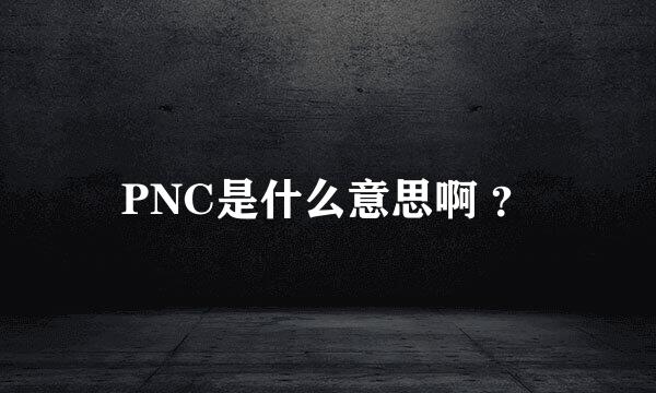 PNC是什么意思啊 ？