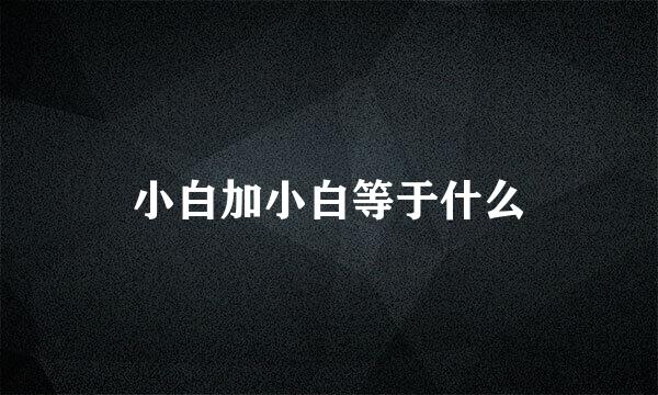 小白加小白等于什么