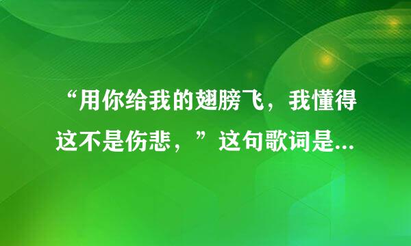 “用你给我的翅膀飞，我懂得这不是伤悲，”这句歌词是那首歌了的？歌名叫啥？