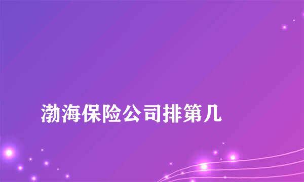 
渤海保险公司排第几
