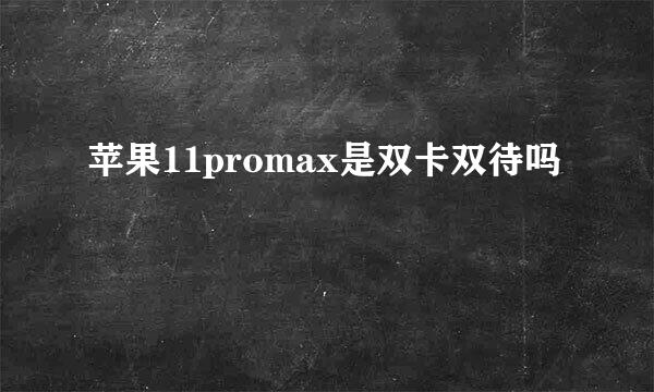 苹果11promax是双卡双待吗