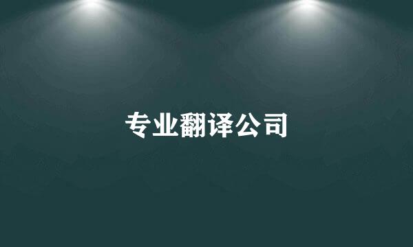 专业翻译公司