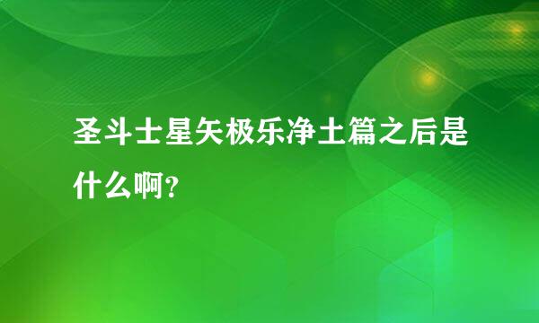 圣斗士星矢极乐净土篇之后是什么啊？