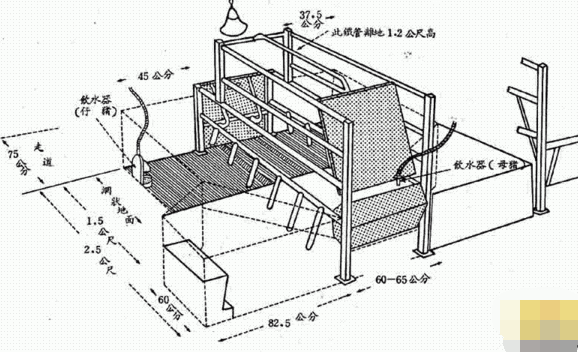 一个母猪产床的详细设计图和尺寸?