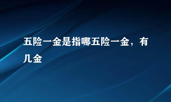 五险一金是指哪五险一金，有几金