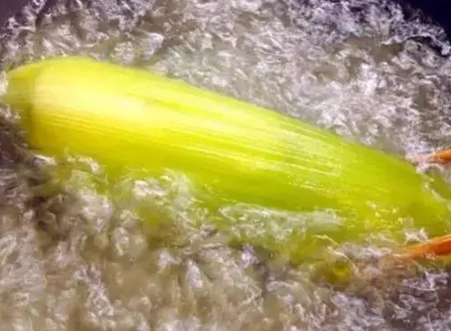 玉米要煮多久