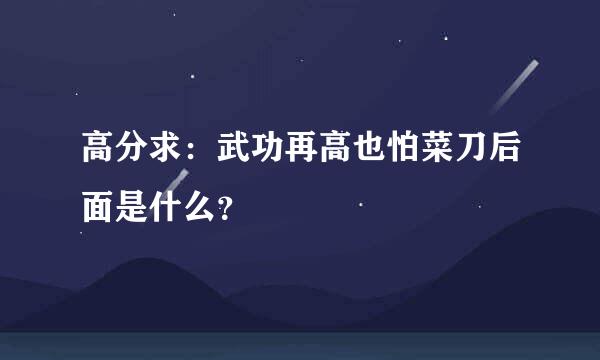 高分求：武功再高也怕菜刀后面是什么？