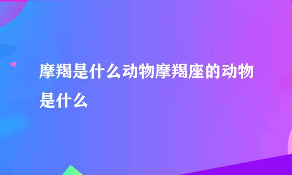 摩羯是什么动物摩羯座的动物是什么