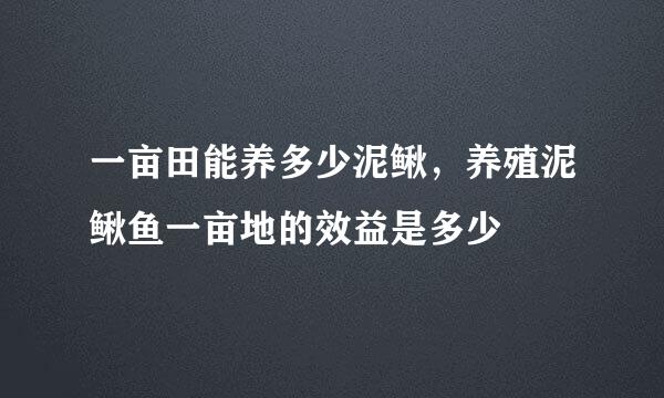 一亩田能养多少泥鳅，养殖泥鳅鱼一亩地的效益是多少