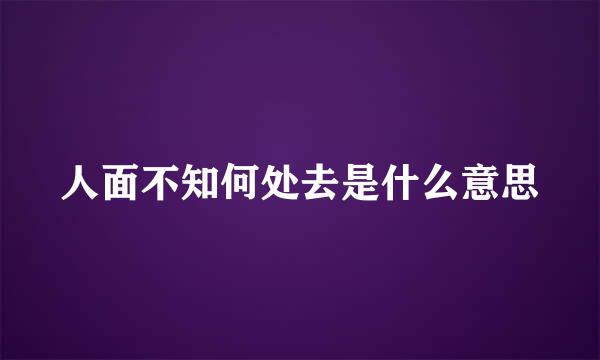 人面不知何处去是什么意思