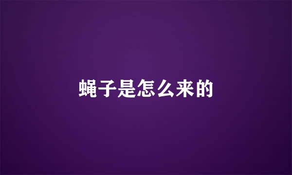 蝇子是怎么来的