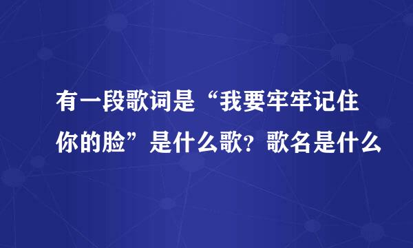 有一段歌词是“我要牢牢记住你的脸”是什么歌？歌名是什么