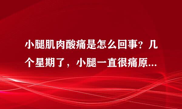 小腿肌肉酸痛是怎么回事？几个星期了，小腿一直很痛原因是什么？ 求解释 谢谢