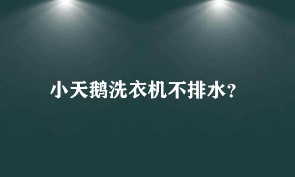 小天鹅洗衣机不排水？