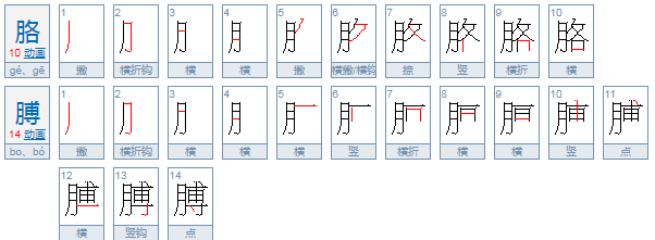 什么的胳膊？