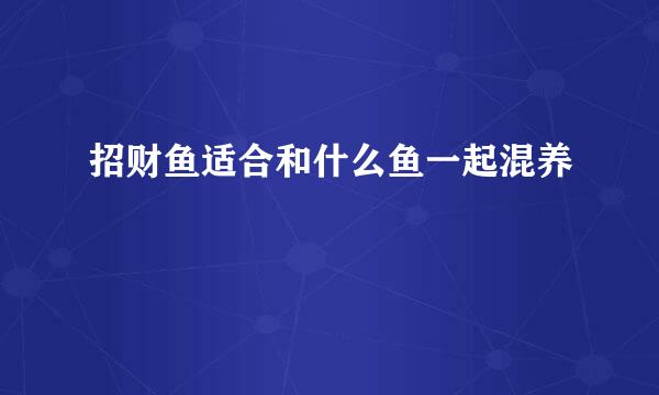 招财鱼适合和什么鱼一起混养