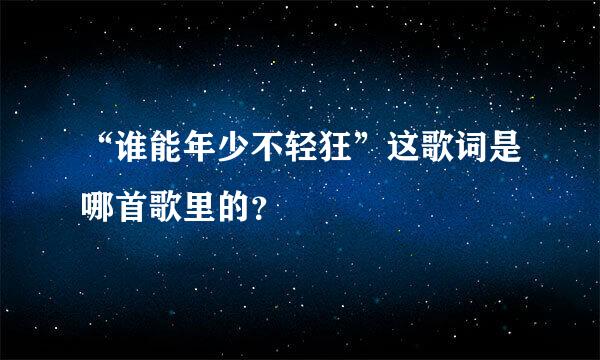 “谁能年少不轻狂”这歌词是哪首歌里的？