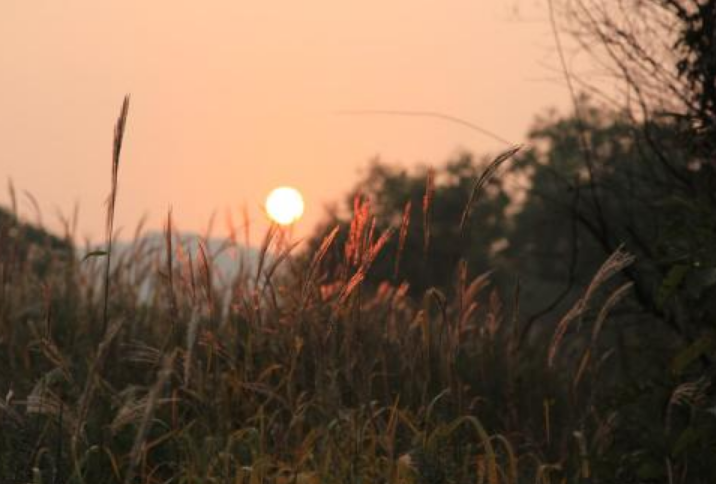 长亭外，古道边，芳草碧连天……请问这是什么歌的歌词？