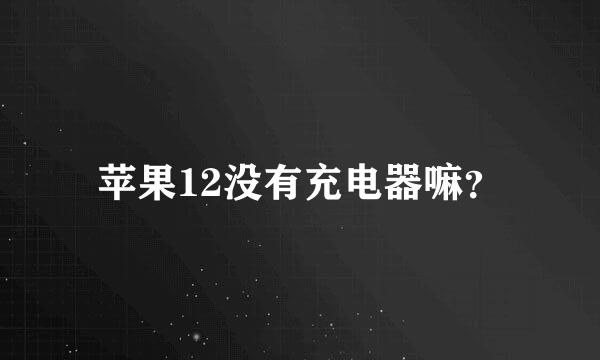 苹果12没有充电器嘛？