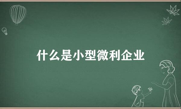 什么是小型微利企业