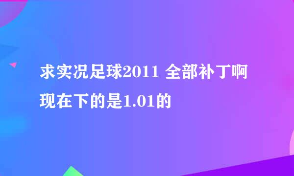 求实况足球2011 全部补丁啊 现在下的是1.01的