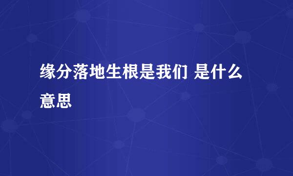 缘分落地生根是我们 是什么意思