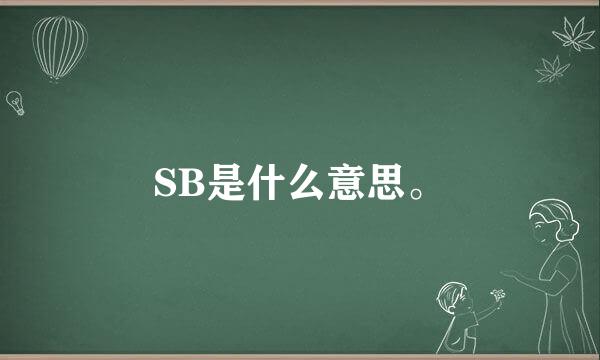 SB是什么意思。