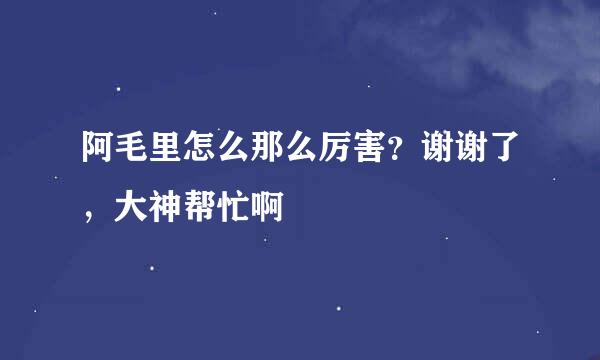 阿毛里怎么那么厉害？谢谢了，大神帮忙啊