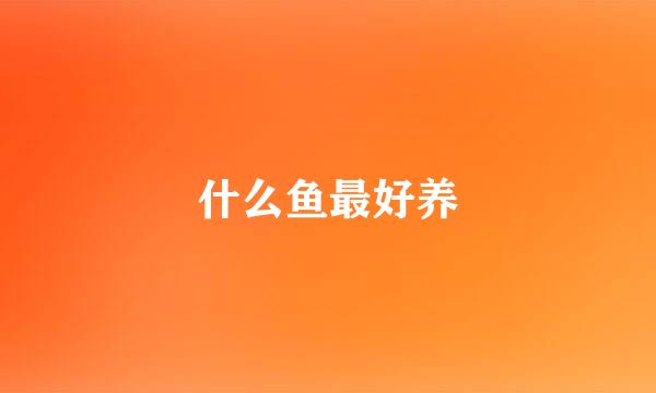 什么鱼最好养