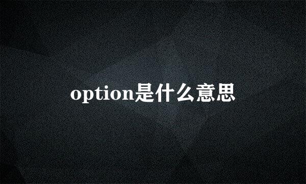 option是什么意思