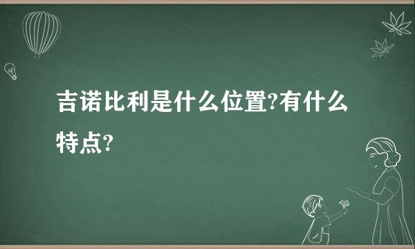 吉诺比利是什么位置?有什么特点?