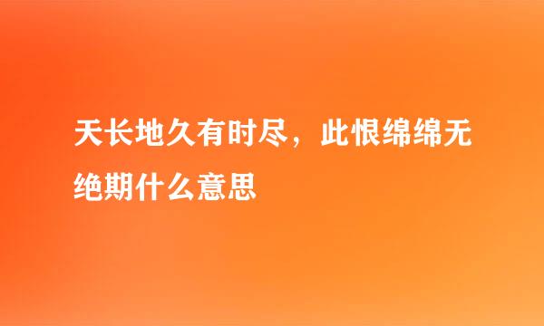 天长地久有时尽，此恨绵绵无绝期什么意思