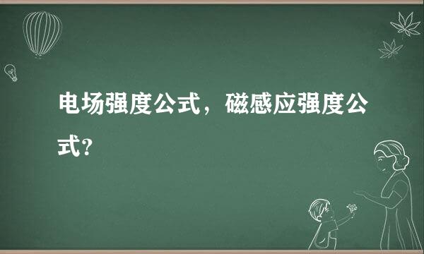 电场强度公式，磁感应强度公式？