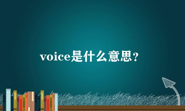 voice是什么意思？
