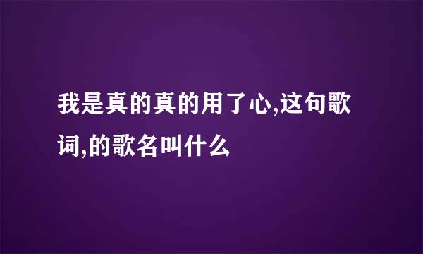 我是真的真的用了心,这句歌词,的歌名叫什么