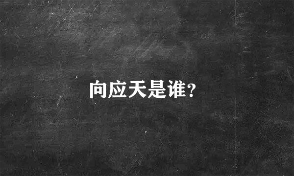 向应天是谁？