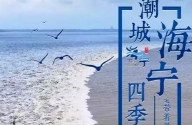 海宁观潮地点哪个不花钱啊?