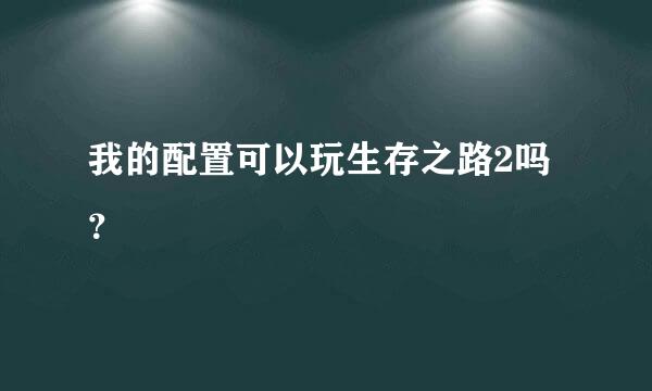 我的配置可以玩生存之路2吗？