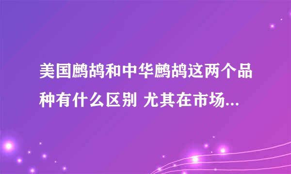 美国鹧鸪和中华鹧鸪这两个品种有什么区别 尤其在市场价值上有多大差别