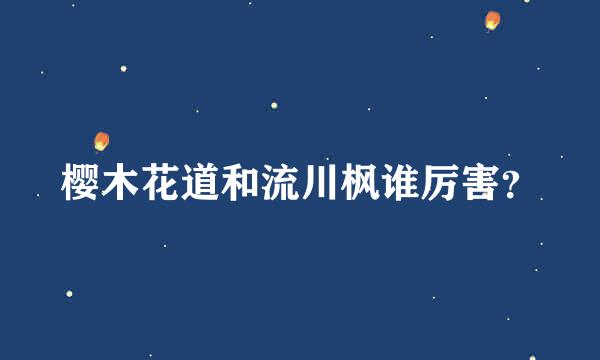 樱木花道和流川枫谁厉害？