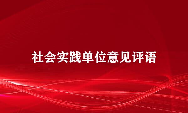 社会实践单位意见评语