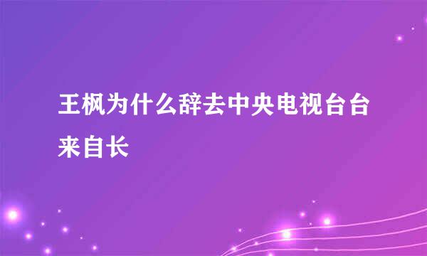 王枫为什么辞去中央电视台台来自长