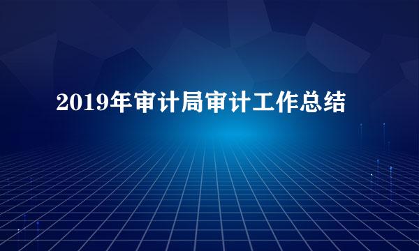 2019年审计局审计工作总结