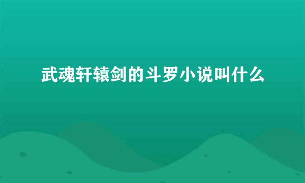 武魂轩辕剑的斗罗小说叫什么