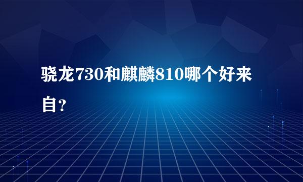 骁龙730和麒麟810哪个好来自？